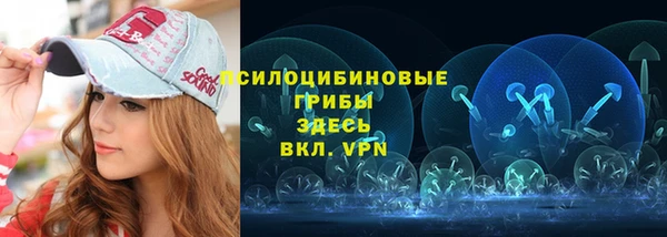 твердый Нягань