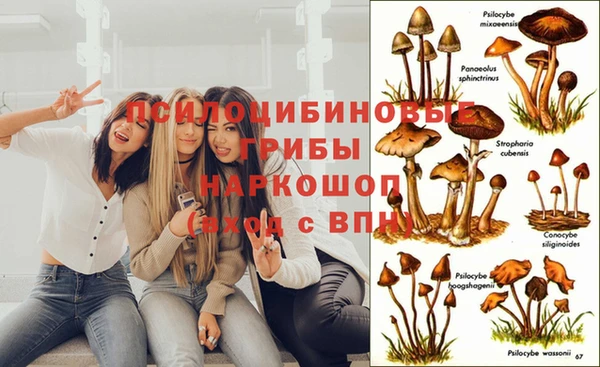 амфетамин Няндома