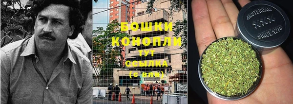 мдпв Осинники