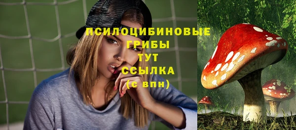 мескалин Переславль-Залесский