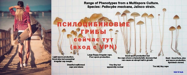 прущая мука Остров