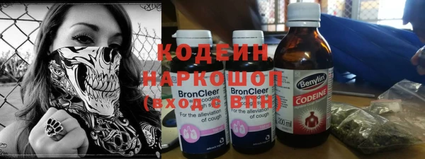 мдпв Осинники