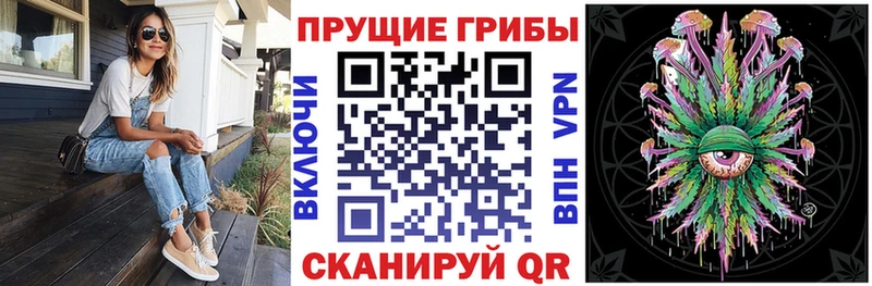 сайты даркнета состав Баймак Псилоцибиновые грибы Cubensis как найти